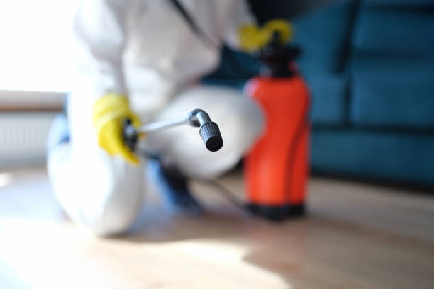 Professional Mold Removal in Butler Beach, FL